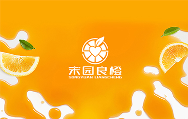 某良橙——蚌埠LOGO设计